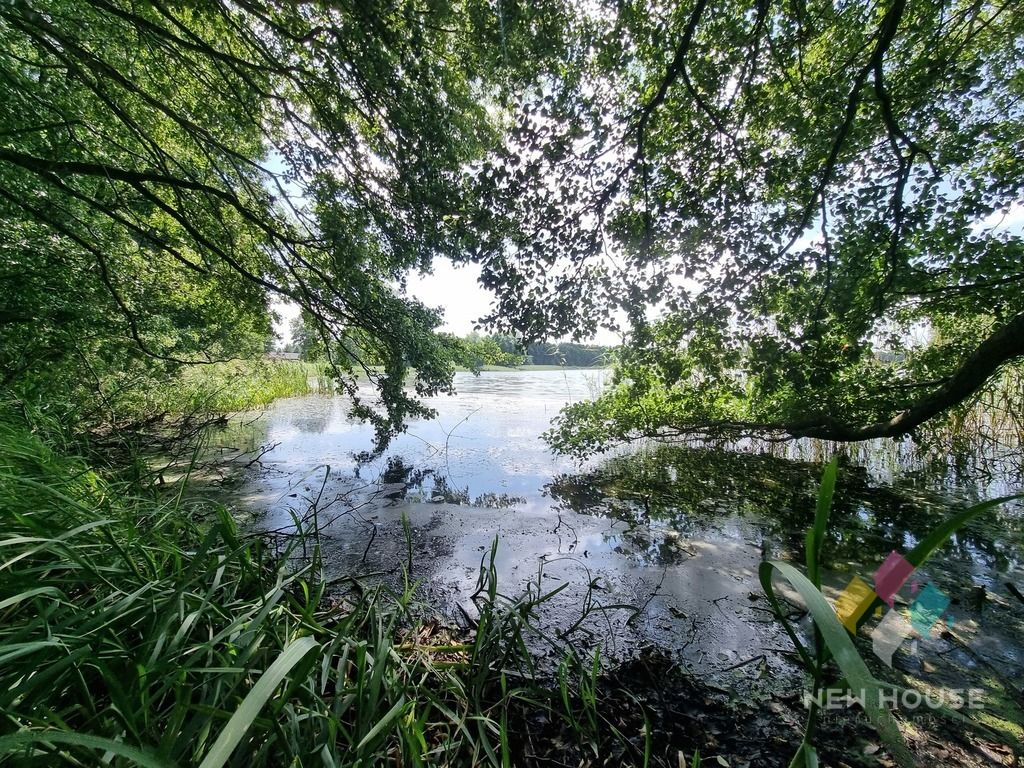 Działka siedliskowa Gil Mały. Zdjęcie 11