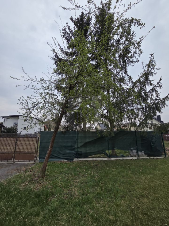 dom wolnostojący, 3 pokoje Żyrardów, ul. Stefana Żeromskiego. Zdjęcie 4