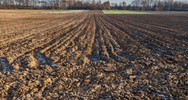 Działka rolna Kalinowice Dolne. Zdjęcie 1