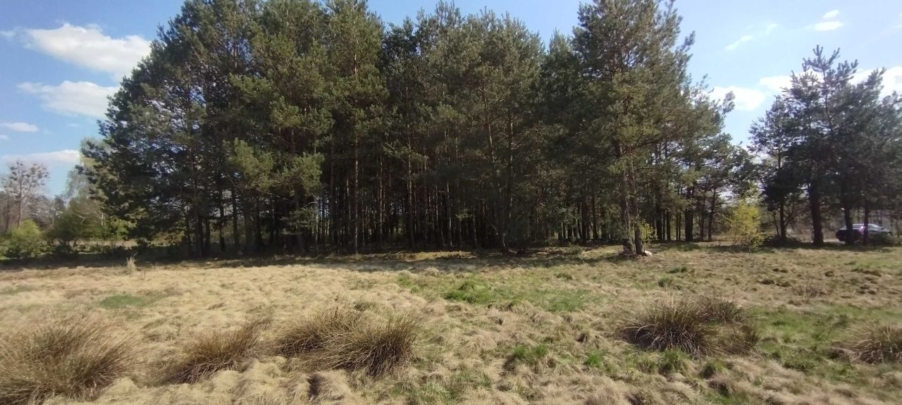 Działka rolna Poręby Dymarskie. Zdjęcie 4