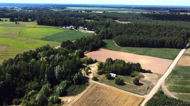 Działka siedliskowa Pełty. Zdjęcie 2