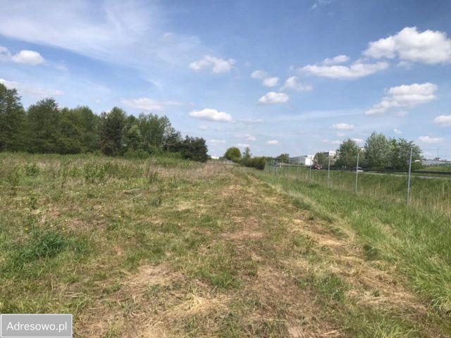 Działka rolna Wola Worowska. Zdjęcie 1