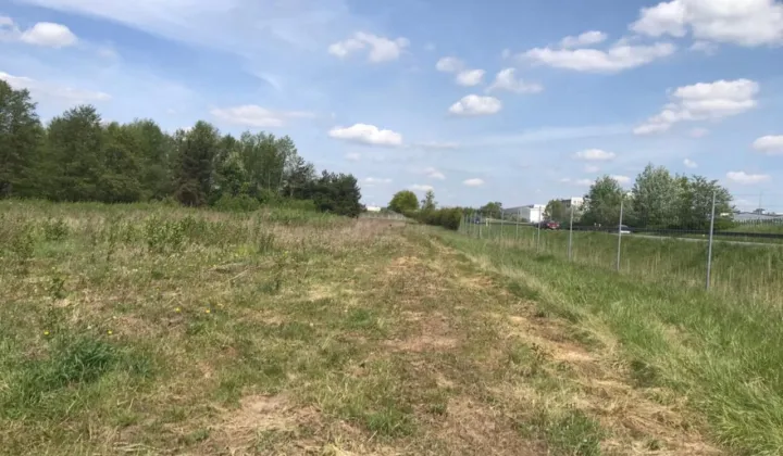 Działka rolna Wola Worowska