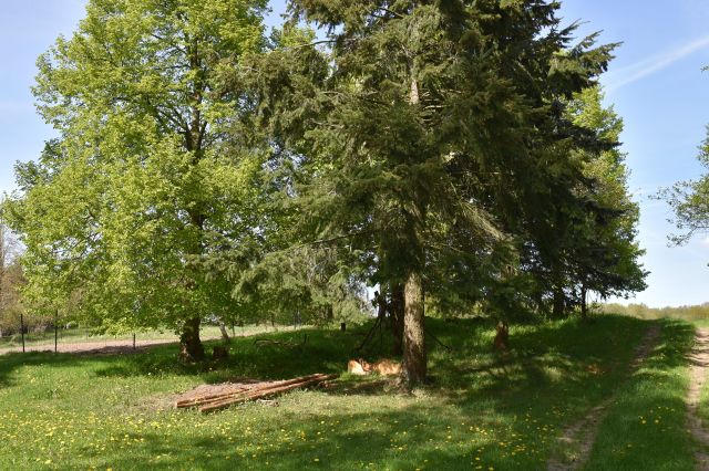 dom wolnostojący, 5 pokoi Ścienne. Zdjęcie 32