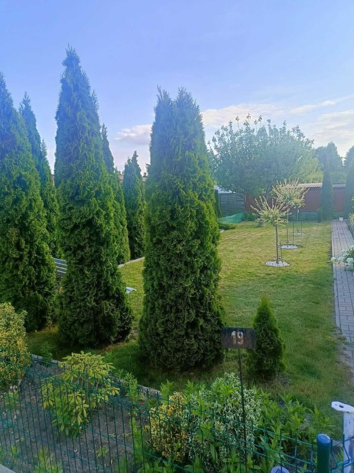 Działka rod Śrem, ul. Jeziorna. Zdjęcie 4