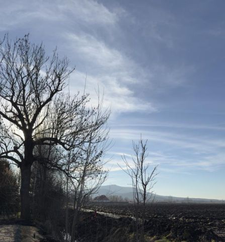 dom szeregowy, 6 pokoi Rogów Sobócki, ul. Tymiankowa. Zdjęcie 2