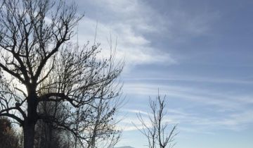 dom szeregowy, 6 pokoi Rogów Sobócki, ul. Tymiankowa