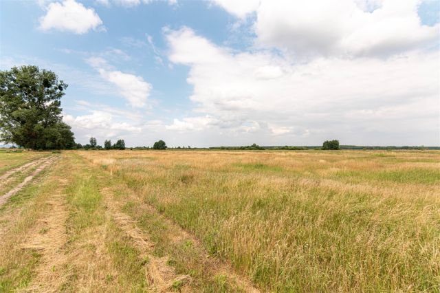 Działka Rurzyca, ul. Łąkowa. Zdjęcie 4