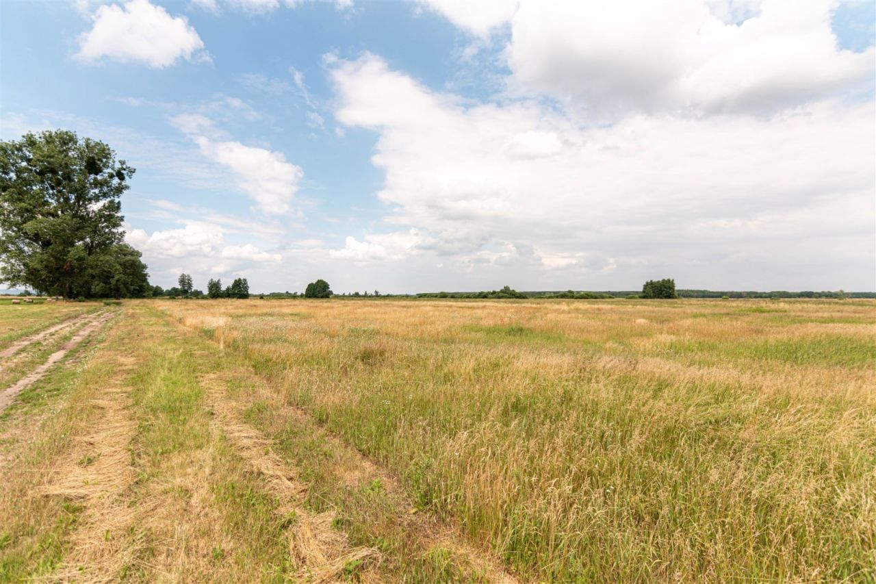 Działka Rurzyca, ul. Łąkowa. Zdjęcie 4