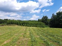 Działka rolno-budowlana Kolonia Gorzków. Zdjęcie 4