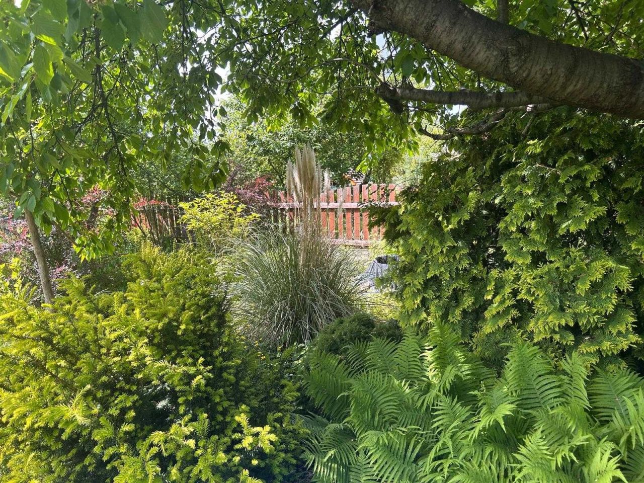 Działka rod Wrocław Ołtaszyn. Zdjęcie 6