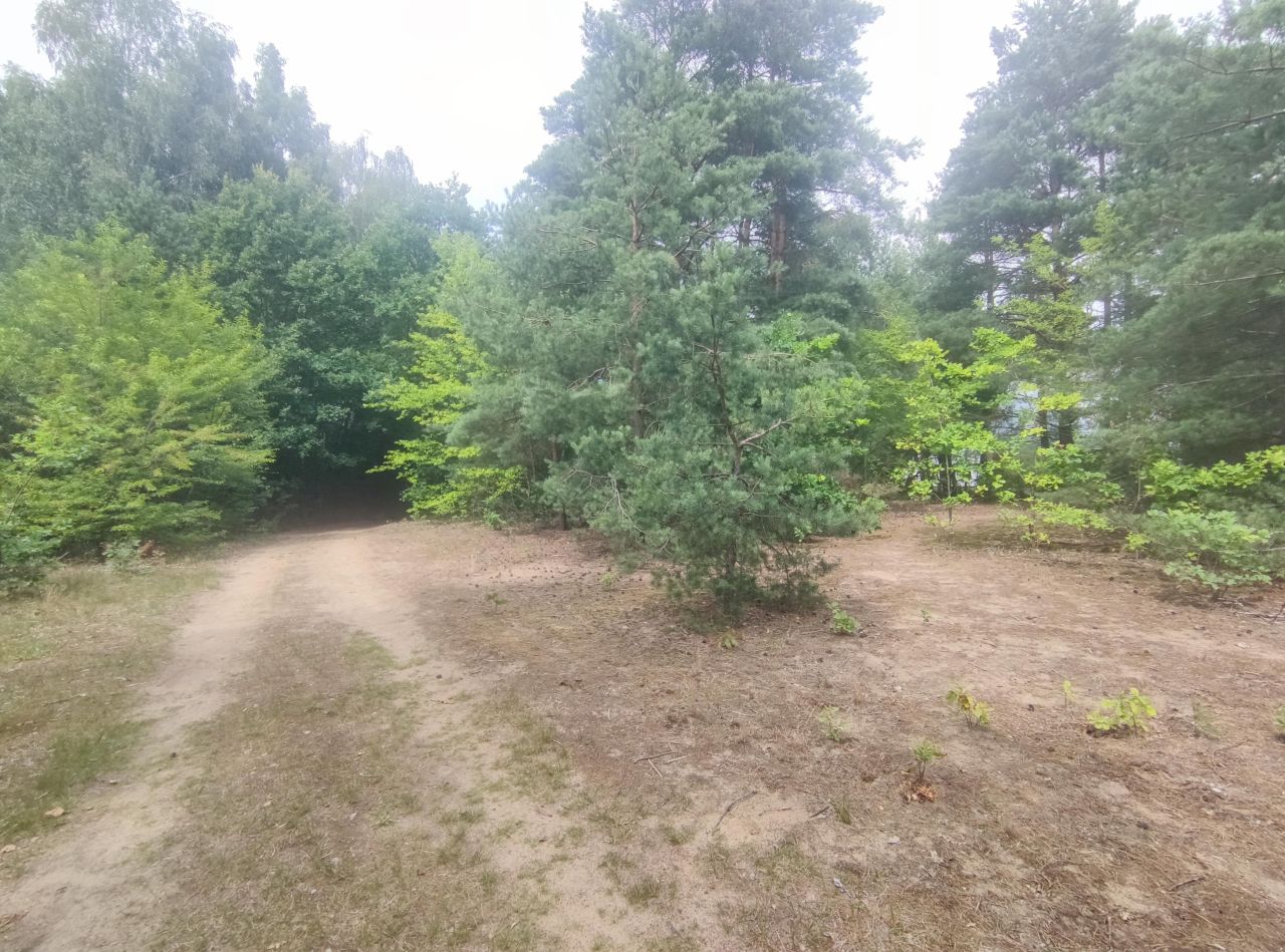 Działka siedliskowa Kuligów, ul. Okrężna. Zdjęcie 7