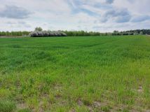 Działka rolna Cegielnia Psucka. Zdjęcie 1