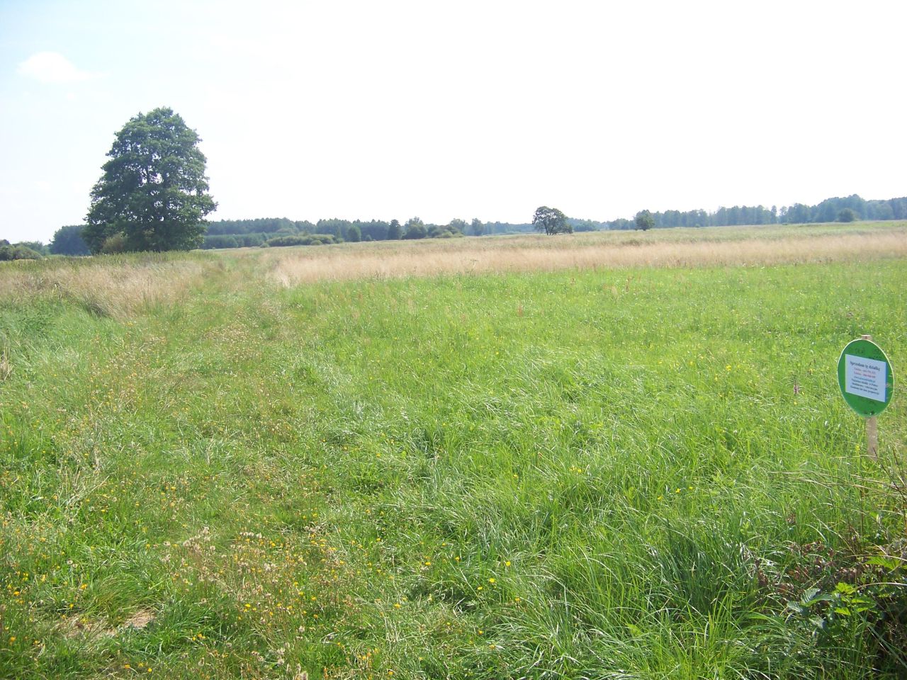 Działka rolna Dudka. Zdjęcie 4