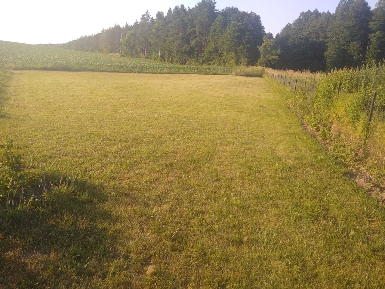 dom wolnostojący Zawady-Tworki. Zdjęcie 3