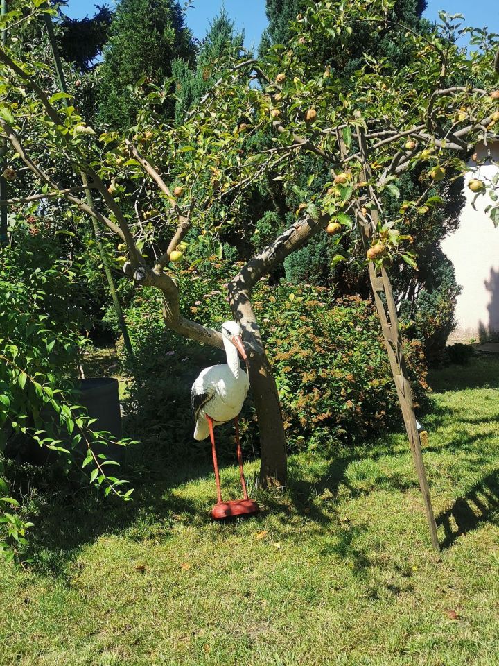 Działka rod Bydgoszcz, ul. Chemiczna. Zdjęcie 5