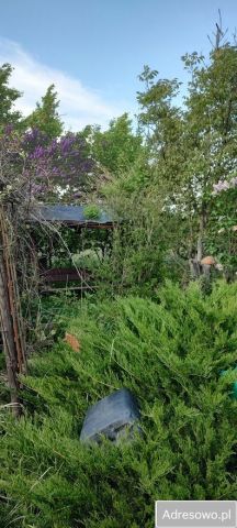 Działka rod Lewin Brzeski. Zdjęcie 1