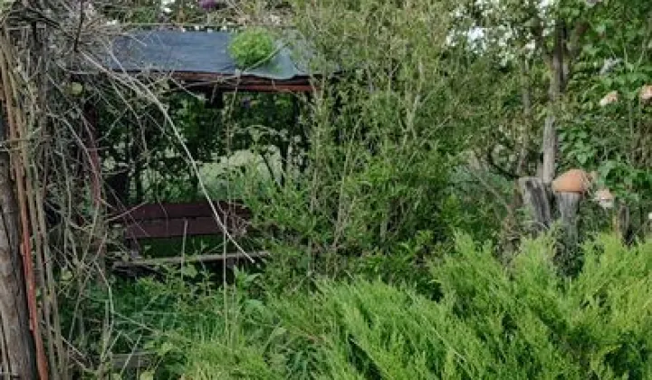 Działka rod Lewin Brzeski