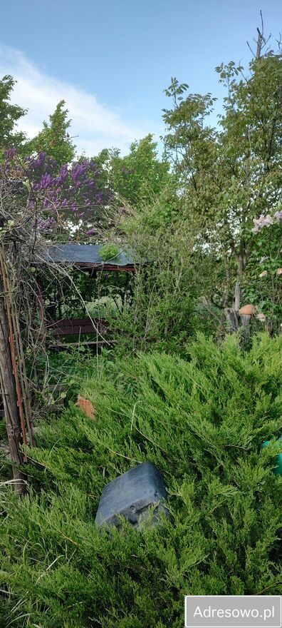 Działka rod Lewin Brzeski