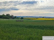 Działka siedliskowa Grzęda. Zdjęcie 2