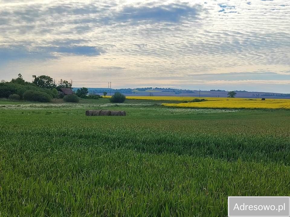 Działka siedliskowa Grzęda. Zdjęcie 3