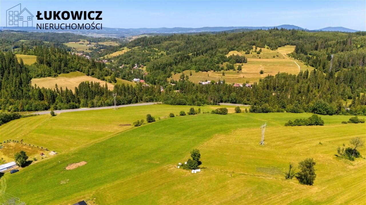 Działka leśna Pieniążkowice. Zdjęcie 19