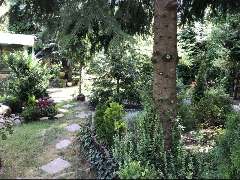 Działka rod Warszawa Mokotów, ul. Żwirki i Wigury. Zdjęcie 5