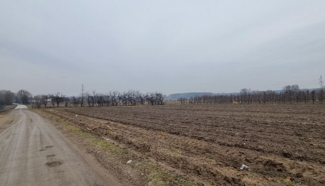 Działka rolno-budowlana Kociszew. Zdjęcie 1