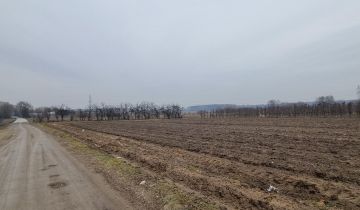 Działka rolno-budowlana Kociszew