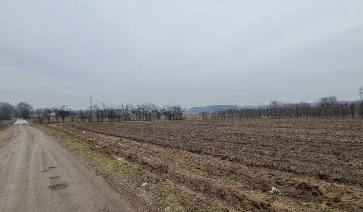 Działka rolno-budowlana Kociszew