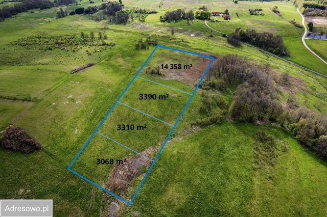 Działka rolno-budowlana Skolity. Zdjęcie 1