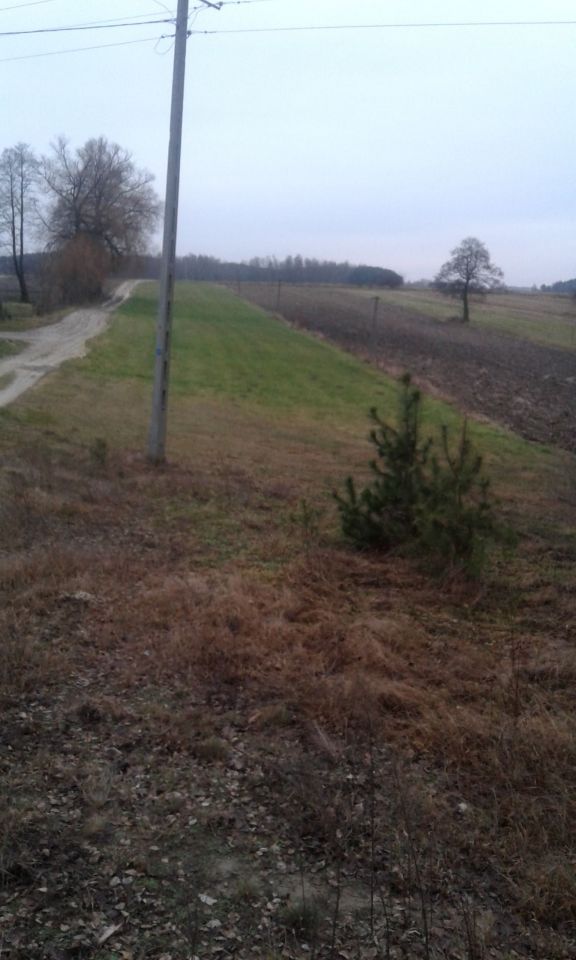 Działka rolno-budowlana Nowy Starogród. Zdjęcie 3