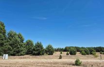 Działka budowlana Morgi. Zdjęcie 1