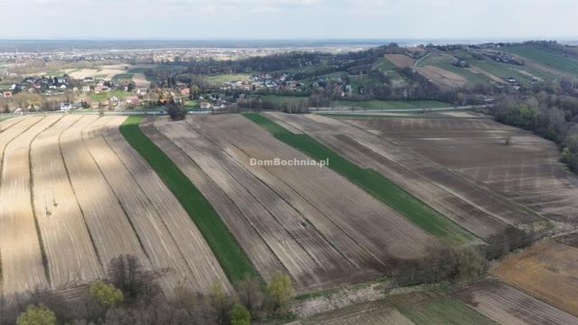 Działka rolna Moszczenica. Zdjęcie 10