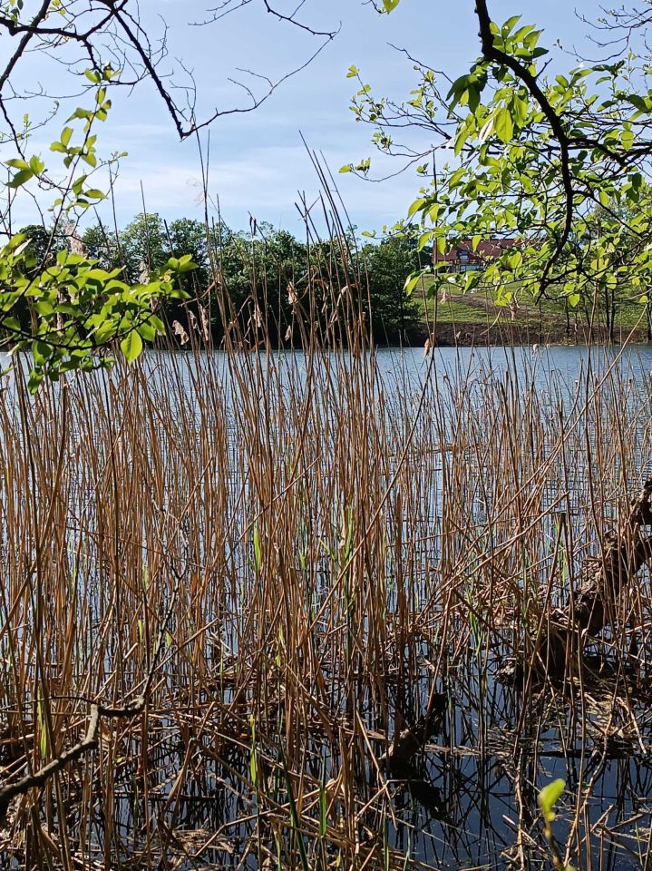 Działka rolna Roje. Zdjęcie 4