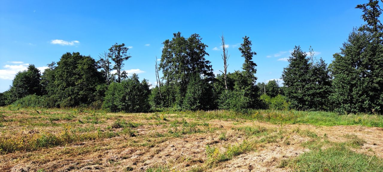Działka rolna Cerkiewnik. Zdjęcie 15