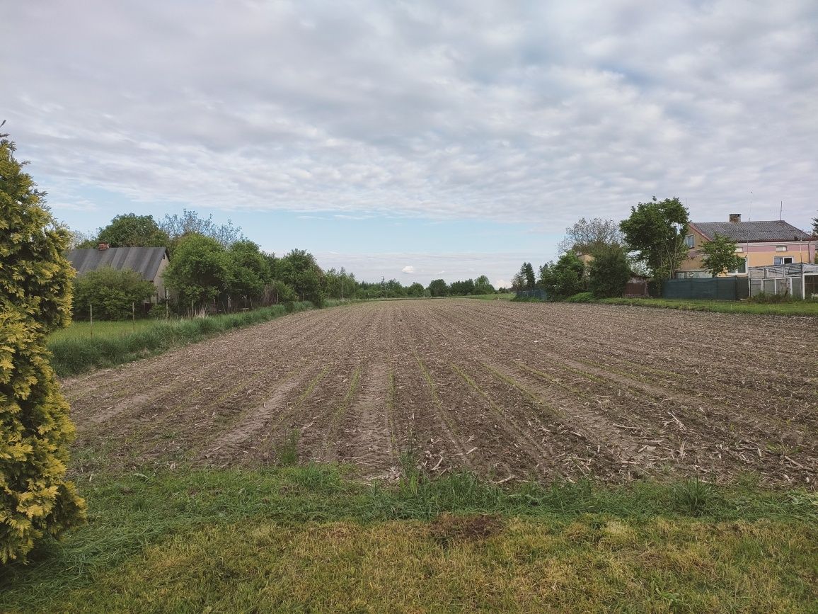 Działka budowlana Kraśnik, ul. Świerkowa