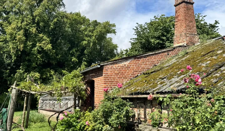 bliźniak Pęzino, Szkolna