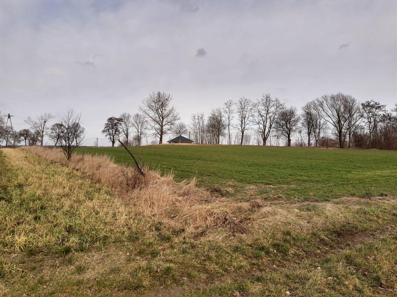 Działka rolno-budowlana Baciuty, ul. Młynowa. Zdjęcie 3