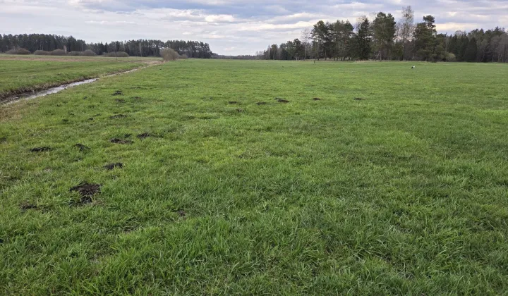 Działka rolna Skieblewo