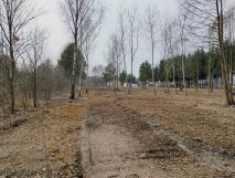 Działka budowlana Bartniki. Zdjęcie 3