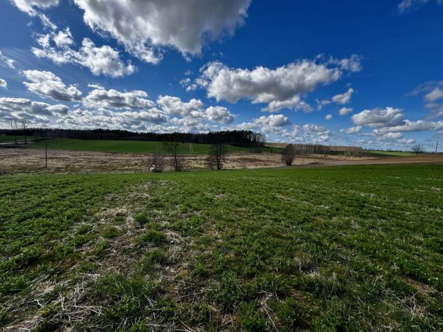 Działka rolna Olbrachtówko. Zdjęcie 1