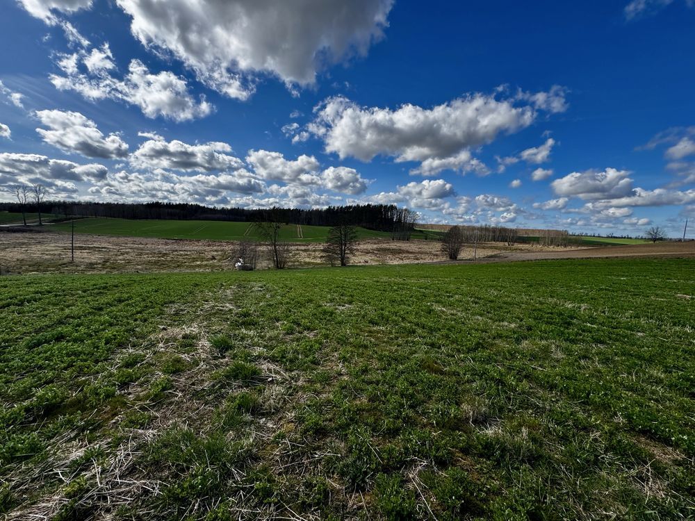 Działka rolna Olbrachtówko