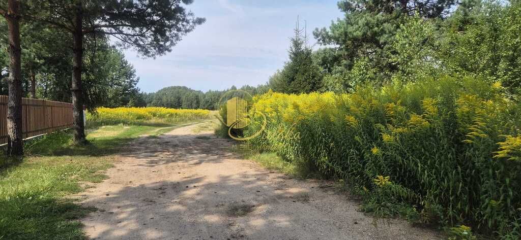 Działka budowlana Grzybowce. Zdjęcie 4