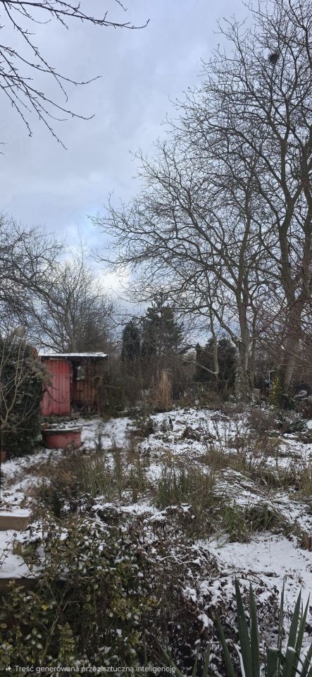 Działka rod Oświęcim Stare Stawy. Zdjęcie 3