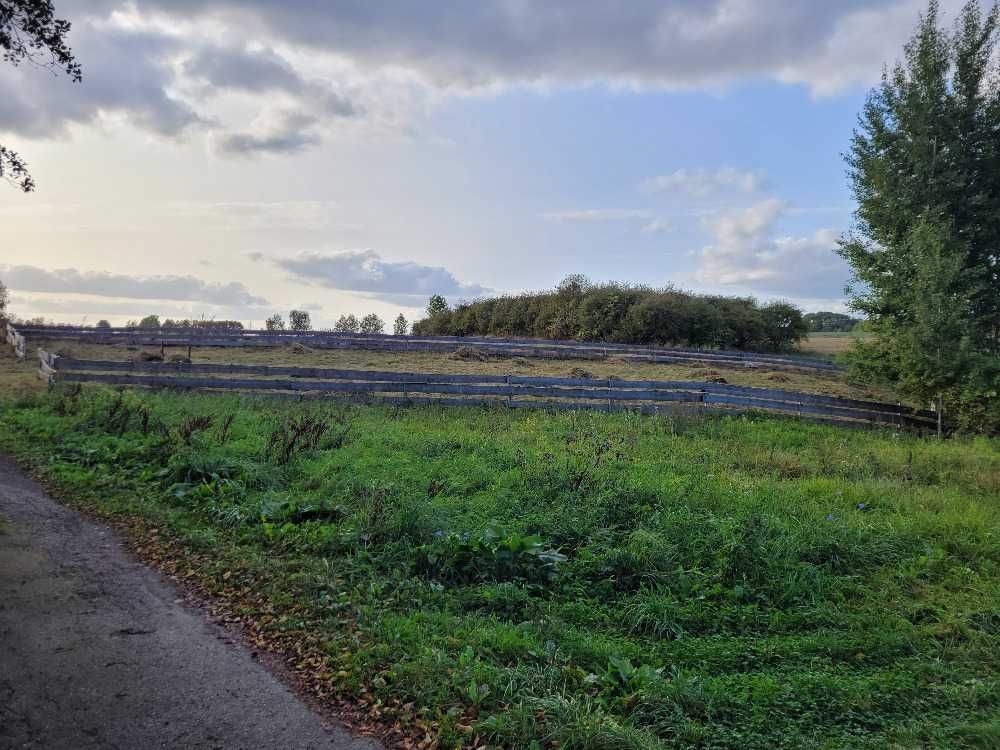 Działka rolno-budowlana Rajgród, ul. Ostejki. Zdjęcie 7