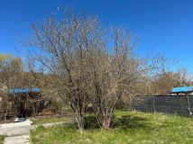 Działka rod Olsztyn Zatorze. Zdjęcie 1