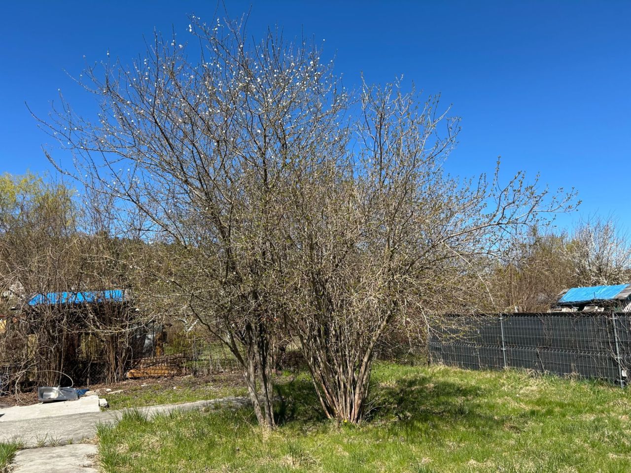 Działka rod Olsztyn Zatorze. Zdjęcie 2