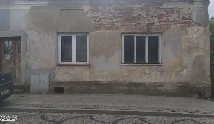 bliźniak Poddębice