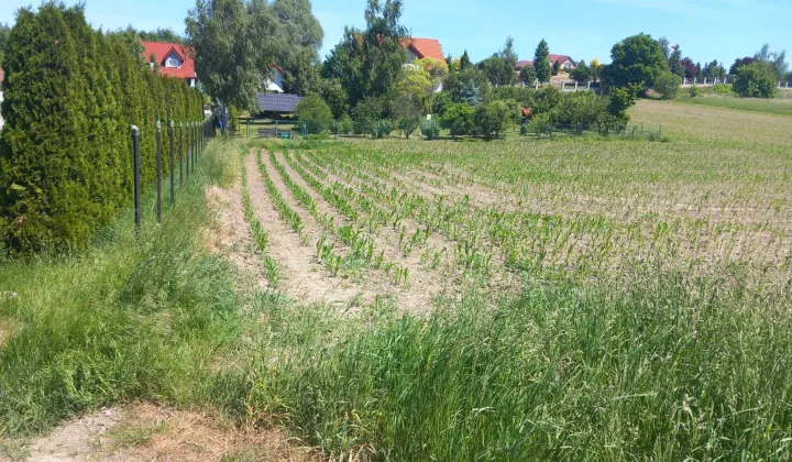Działka budowlana Panków
